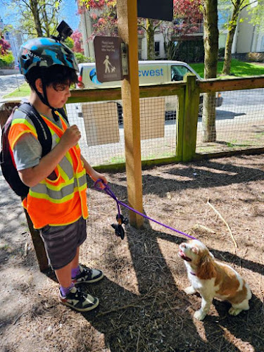 Mighty Good Dog Walking