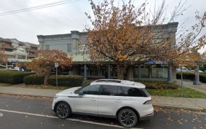 Lady & Tramp Dog Grooming The