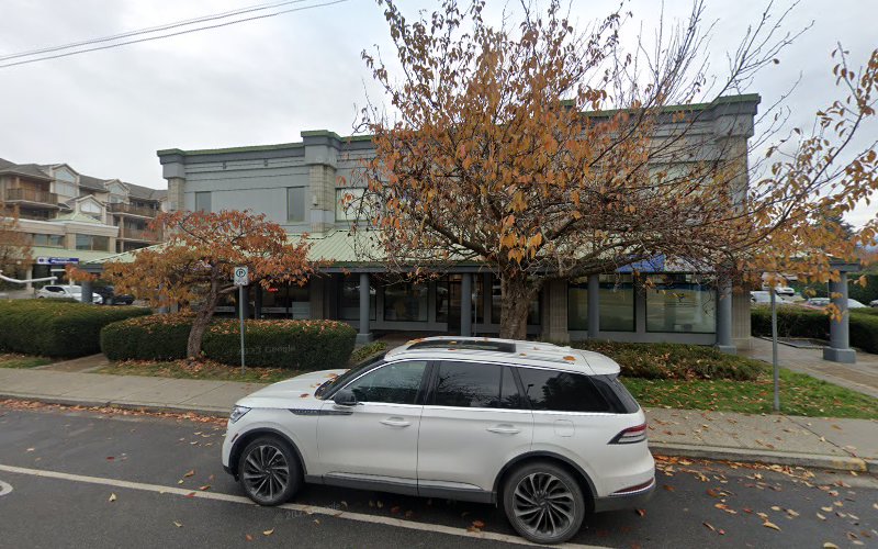 Lady & Tramp Dog Grooming The