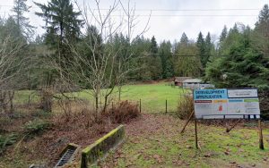 Deb’s Doggy Vacations