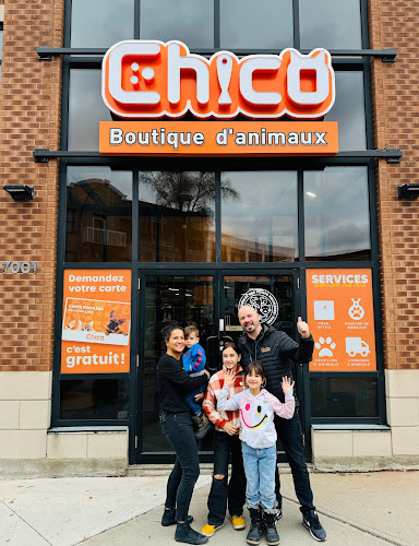 Chico – Boutique d’animaux | Boul. St-Laurent (Montréal)