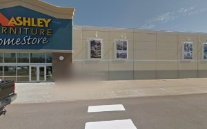 PetSmart Dog Training