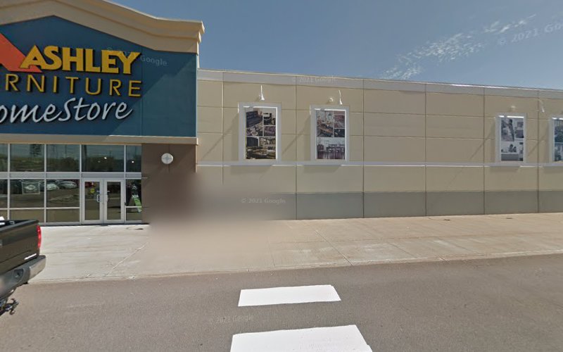 PetSmart Dog Training