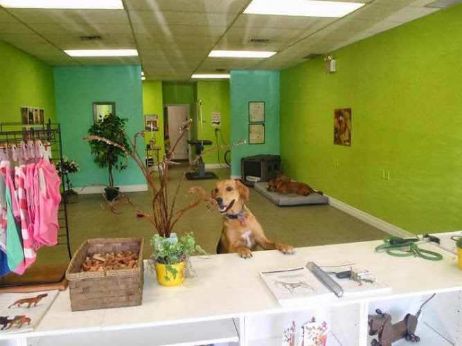 Mr Paws Grooming & Doggy Daycare