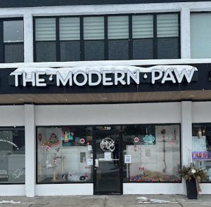 The Modern Paw