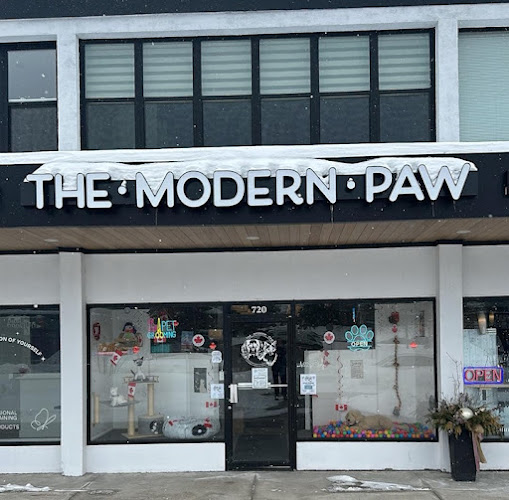 The Modern Paw