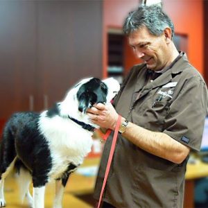 Animals First Clinic