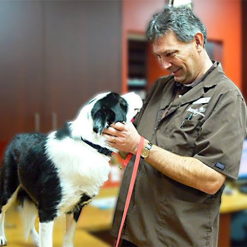 Animals First Clinic