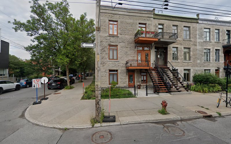 Promeneur de chiens plateau