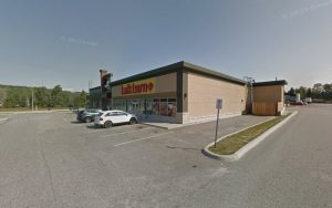 PetSmart Dog Training