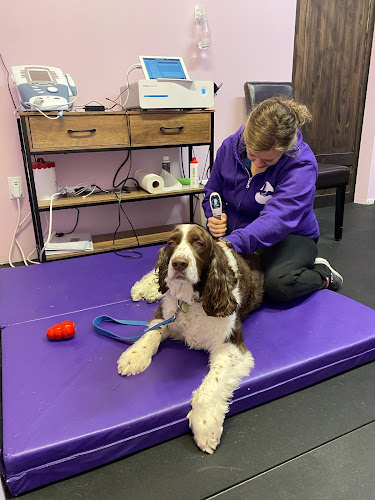 Touch Animal Rehabilitation