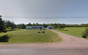 Mama & the girls House Sitting