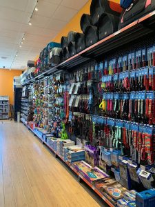 Chico – Boutique d’animaux | Drummondville