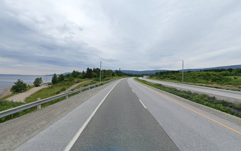 Provincial Farm Animal Vet Svc