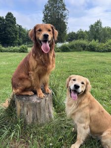 Spotted Acres Boarding