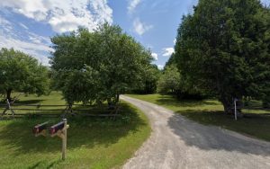 Susie’s Kanine Klips