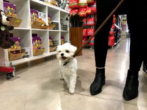 Pet Pantry Pet Food & Supply Stores