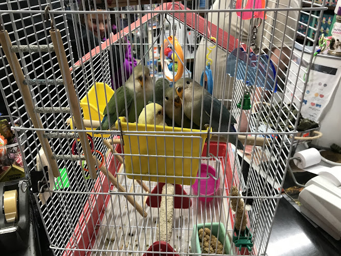 King Ed Pet Centre Ltd