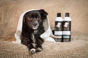 Beau Canine Essentials