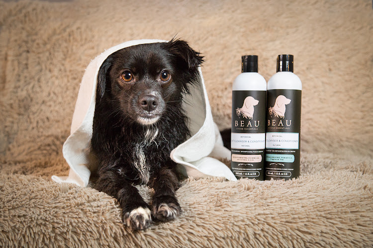Beau Canine Essentials