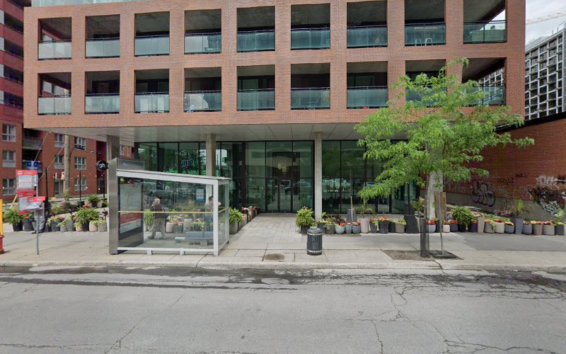 Perro feliz (Griffintown and old Montreal)