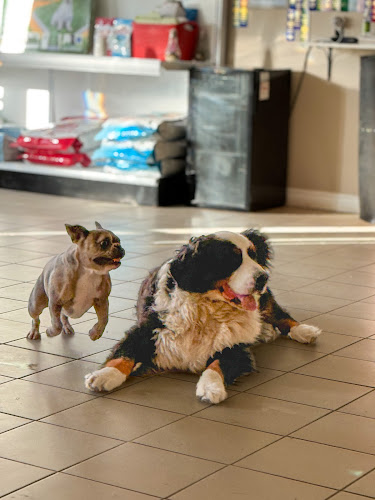 Pawtopia Pet Resort & Rescue