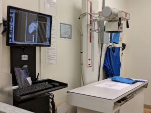 North Bluff Animal Hospital