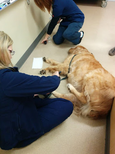 Kennedy Heights Animal & Bird Hospital