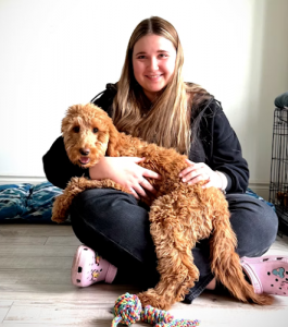 Wiggle Wag Dog Daycare