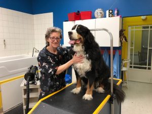 Animouff – Boutique et toilettage pour animaux