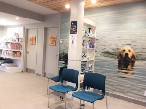 Clinique vétérinaire l’Arche de Noé