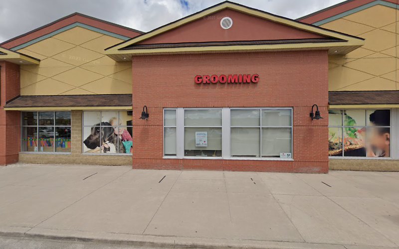 PetSmart Dog Training