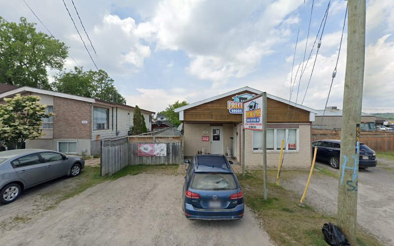 Precious Paws Doggie Daycare