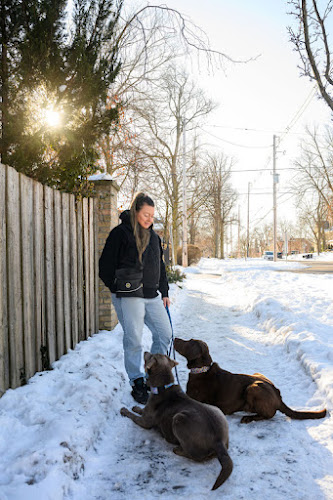 Lady with Dogs