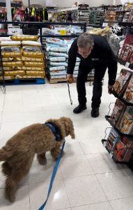 Arsenal Canine Academy – Calgary