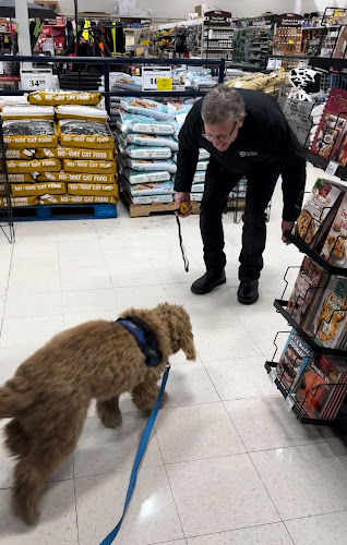 Arsenal Canine Academy – Calgary