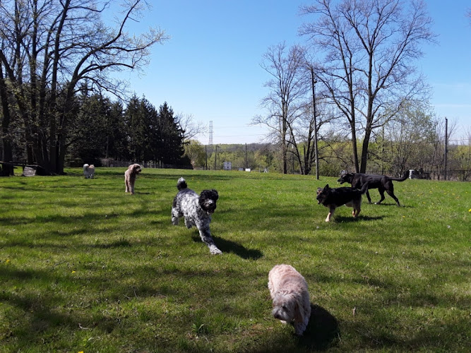Rosewood Pet Resort