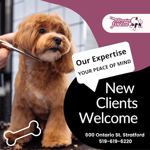 Grooming with Finesse