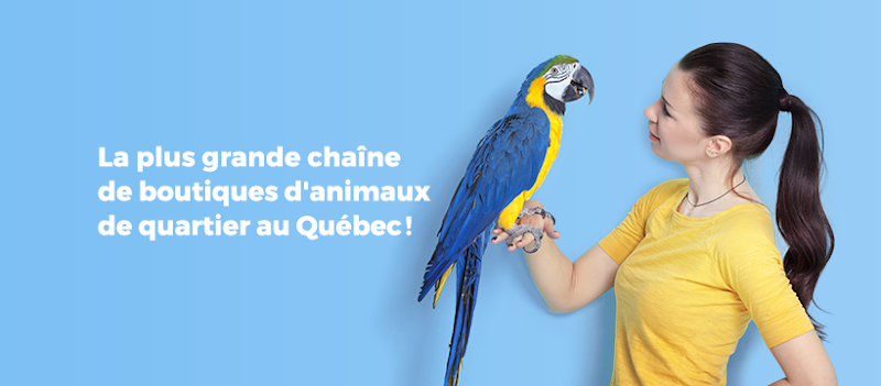 Chico – Boutique d’animaux | Lavaltrie