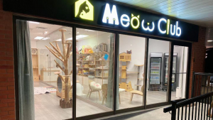Meow Club