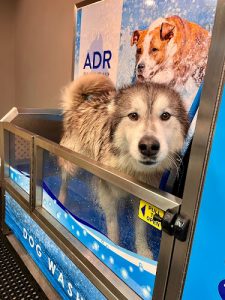 ADR Pet Stores – Orillia