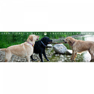 Gateway Pet Hospital