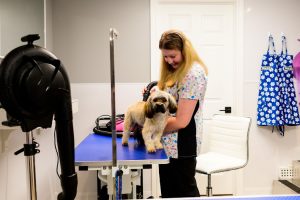 Forever Young Pet Grooming