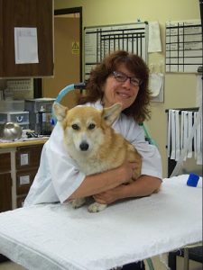 Arrow Lake Veterinary Hospital