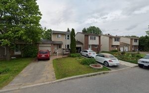 Furtopia Dog Grooming