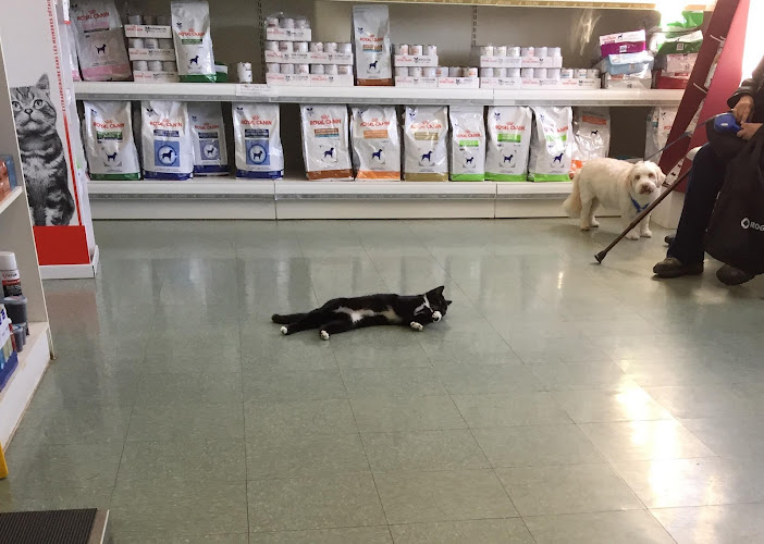 Mountain Road Animal Hospital