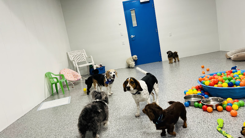 Penticton Pet Resort