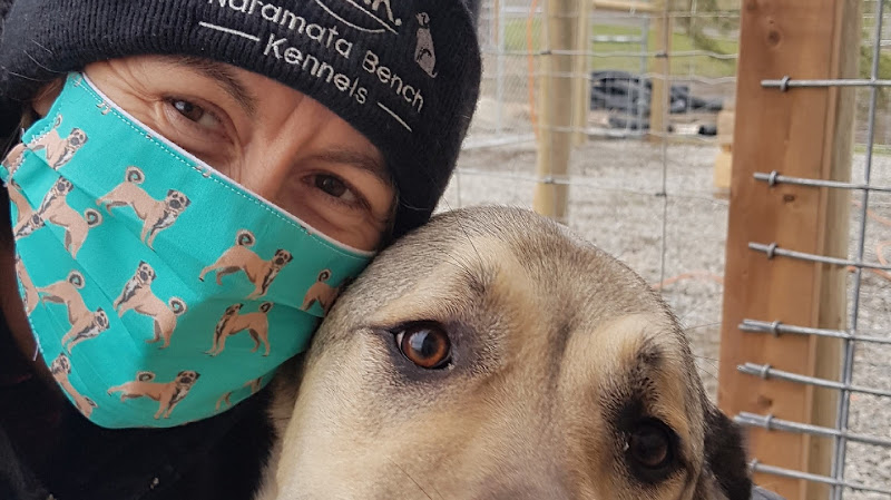 Naramata Bench Kennels