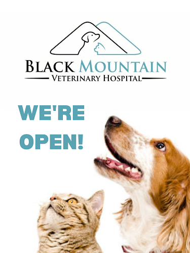 Black Mountain Veterinary Hospital