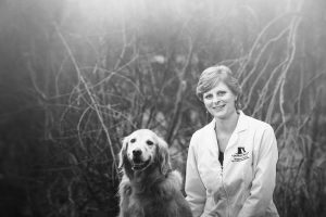 Central Valley Veterinary Hospital